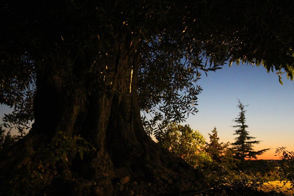 La Campagne De Petre Otel Entrevennes Dış mekan fotoğraf