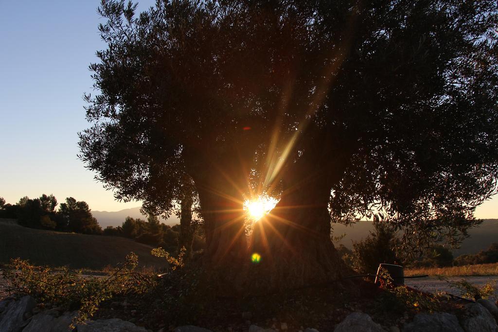 La Campagne De Petre Otel Entrevennes Dış mekan fotoğraf
