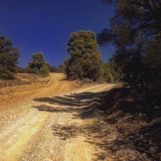 La Campagne De Petre Otel Entrevennes Dış mekan fotoğraf